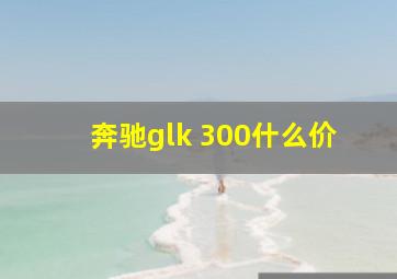 奔驰glk 300什么价